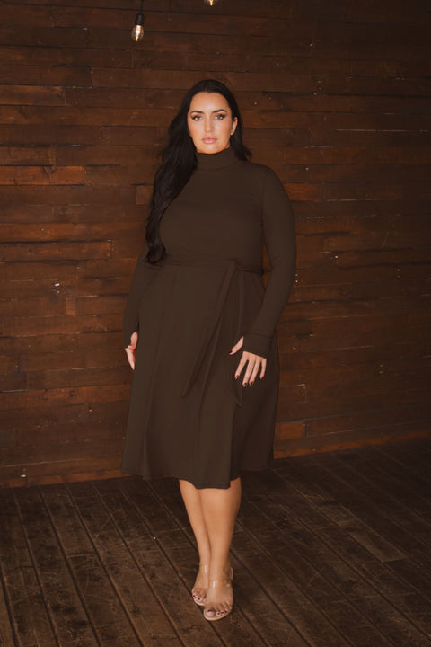 Plus Size Audrey Turtleneck Knit Dress  - Brown